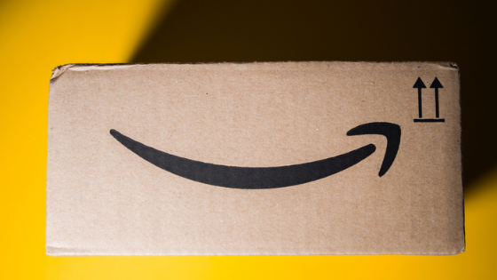 What is Amazon Influencer Program?
