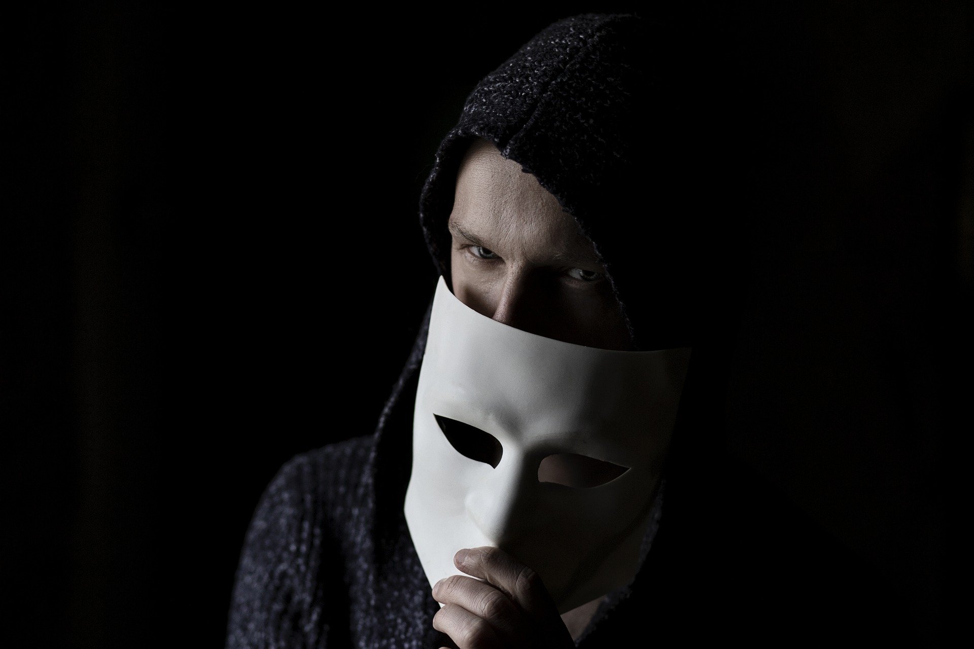 Fraud Detection, Fake Social Activity and Audience Health in Influencer Marketing