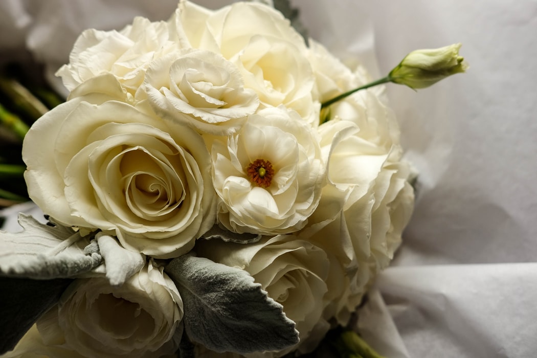 Top 5 Wedding Influencers Every Bride-to-be Should Follow