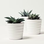 Top 5 Home & Garden Influencers You Should Get Inspired from!