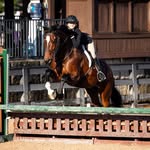 Skylynn Elizabeth Floyd