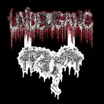 Undergang