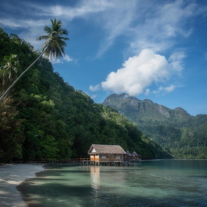 Ora beach, Seram island
-
Exploring Maluku with @pettyelliottskitchen
-
Photography equiptment by @focusnusantara
.
#thattravelblog #LiveTravelChannel #TravelStoke #lonelyplanet #BBCTravel #justgoshoot #rajaampat #passionpassport #theculturetrip #worlderlust #AdventureCulture #lessismoreoutdoors #departedoutdoors #focusnusantara #worldcaptures #Artofvisuals #TravelAwesome #followmefaraway #travellingthroughtheworld #nakedplanet #CreateExploreTakeOver #CreateCommune #travelingpost #nala_rinaldo #moscow #WeLiveToExplore #LetsGoEverywhere #igshotz #exploretocreate #travelandlife