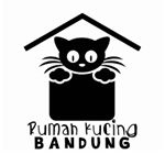 Rumah Kucing Bandung