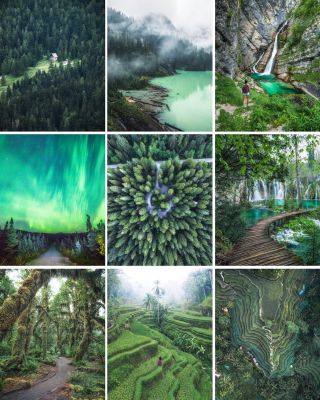 It’s a green world out there. Show me your favorite green photos! 🌲🌿🌴 https://t.co/cDTbtQTqZP