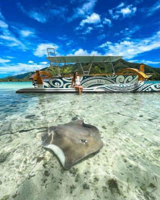 Enjoying Moorea French Polynesia 🌊.
We loved this Tour, they took us in a Polynesia Canoa boat to swim with stingrays, sharks, fish, corals, and around Moorea Island best spots 🏝 Also they took us to a private Island where we experience French Polynesia food and culture 🇵🇫 .
.
Amazing 🤩💙🌴👍👌.
.
Thanks @manavamoorea to booked our tour 💯.
.
More of this Amazing Experience in my Stories 🙌 #LasAventurasDeAlexa 💃🏼.
.
#Moorea #MooreaIsland #MooreaFrenchPolynesia #ManavaMoorea #manavamooreabeach_resort #islandlife #islandvibes #stingray #stingrays #adventure #adventures #travel #travelphotography #travelblogger #travelblog #travellover #frenchpolynesia #polinesiafrancesa