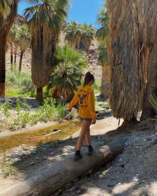 🤠 two @americanoutlier partners on a trek to discover every inch of our own 🇺🇸 backyard (given safety of course) wearing: @sendit ➡️they donate 50 meals to @feedingamerica for every item purchased & I think that’s pretty rad 💚)  http://bit.ly/SISRACHELF @ Indian Canyons, Palm Springs