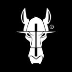 𝐂𝐀𝐕𝐀𝐋𝐋𝐎 𝐃𝐄 𝐅𝐄𝐑𝐑𝐎 𝐁𝐑𝐀𝐙𝐈𝐋