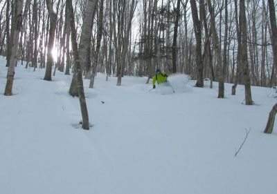 Today we visited a small ski area in the Katashina area of Gunma and were pleasantly surprised with the off-piste tree skiing on offer. Not really a destination resort but combine this with a day or two at neighbouring resort Oze Iwakura and you will find some fantastic skiing. PS, these resorts are going to get around 60+ cm of fresh cold snow over the next few days!!!