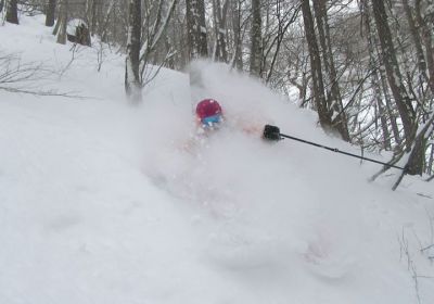 Deep powder comes to patient powder hounds! Oze Iwakura is a resort we've raved about before & today didn't disappoint with some classic dry 