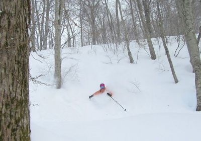 Deep powder comes to patient powder hounds! Oze Iwakura is a resort we've raved about before & today didn't disappoint with some classic dry 