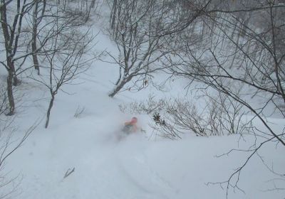 Deep powder comes to patient powder hounds! Oze Iwakura is a resort we've raved about before & today didn't disappoint with some classic dry 