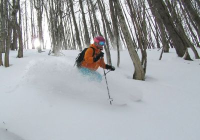 Today we visited a small ski area in the Katashina area of Gunma and were pleasantly surprised with the off-piste tree skiing on offer. Not really a destination resort but combine this with a day or two at neighbouring resort Oze Iwakura and you will find some fantastic skiing. PS, these resorts are going to get around 60+ cm of fresh cold snow over the next few days!!!