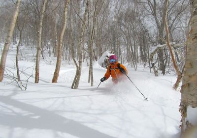 Deep powder comes to patient powder hounds! Oze Iwakura is a resort we've raved about before & today didn't disappoint with some classic dry 