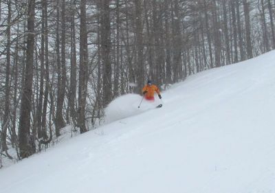 We've been in search of new unicorn ski resorts in Japan, which has been a bit challenging lately considering many of the Nagano/Niigata/Gunma ski resorts have been suffering from yuck snow conditions. We have been hanging out in Gunma waiting for the elusive storm that was meant to arrive a couple of days ago (it hit Nagano/Niigata yesterday). Today we hit this little ski area with about 5-10cm of dust on glacial-like rough crust & it was snowing all day so it improved a little in the afternoon (& it's forecast to snow plenty tonight). Despite the marginal snow conditions (Japoo we're calling it!) we took a look around and the verdict is a bit undecided about whether this ski area is going to excite & entice any powder hounds. It does have some small steepish pitches and there appears to be a little tree skiing (albeit tight trees mostly). You wouldn't go there especially, but it's worth including for a day on road trip of Gunma: https://www.powderhounds.com/Japan/Honshu/Oguna-Hotaka.aspx