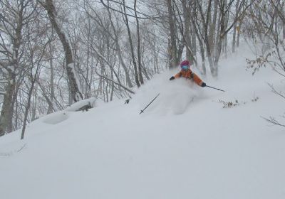 Deep powder comes to patient powder hounds! Oze Iwakura is a resort we've raved about before & today didn't disappoint with some classic dry 