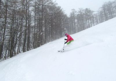 We've been in search of new unicorn ski resorts in Japan, which has been a bit challenging lately considering many of the Nagano/Niigata/Gunma ski resorts have been suffering from yuck snow conditions. We have been hanging out in Gunma waiting for the elusive storm that was meant to arrive a couple of days ago (it hit Nagano/Niigata yesterday). Today we hit this little ski area with about 5-10cm of dust on glacial-like rough crust & it was snowing all day so it improved a little in the afternoon (& it's forecast to snow plenty tonight). Despite the marginal snow conditions (Japoo we're calling it!) we took a look around and the verdict is a bit undecided about whether this ski area is going to excite & entice any powder hounds. It does have some small steepish pitches and there appears to be a little tree skiing (albeit tight trees mostly). You wouldn't go there especially, but it's worth including for a day on road trip of Gunma: https://www.powderhounds.com/Japan/Honshu/Oguna-Hotaka.aspx