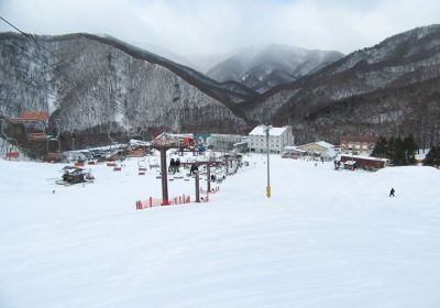 Today we visited a small ski area in the Katashina area of Gunma and were pleasantly surprised with the off-piste tree skiing on offer. Not really a destination resort but combine this with a day or two at neighbouring resort Oze Iwakura and you will find some fantastic skiing. PS, these resorts are going to get around 60+ cm of fresh cold snow over the next few days!!!