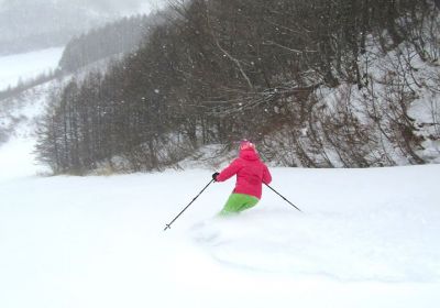 We've been in search of new unicorn ski resorts in Japan, which has been a bit challenging lately considering many of the Nagano/Niigata/Gunma ski resorts have been suffering from yuck snow conditions. We have been hanging out in Gunma waiting for the elusive storm that was meant to arrive a couple of days ago (it hit Nagano/Niigata yesterday). Today we hit this little ski area with about 5-10cm of dust on glacial-like rough crust & it was snowing all day so it improved a little in the afternoon (& it's forecast to snow plenty tonight). Despite the marginal snow conditions (Japoo we're calling it!) we took a look around and the verdict is a bit undecided about whether this ski area is going to excite & entice any powder hounds. It does have some small steepish pitches and there appears to be a little tree skiing (albeit tight trees mostly). You wouldn't go there especially, but it's worth including for a day on road trip of Gunma: https://www.powderhounds.com/Japan/Honshu/Oguna-Hotaka.aspx