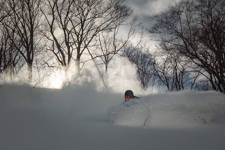 42cm in 24 hours of well needed snow at Lotte Arai in Niigata!! The forecast is calling for plenty more snow today & there's another big storm brewing for the 4th & 5th Feb. 
The general low-down on Lotte Arai: https://www.powderhounds.com/Japan/Honshu/Arai.aspx
LOTTE ARAI RESORT ロッテアライリゾート