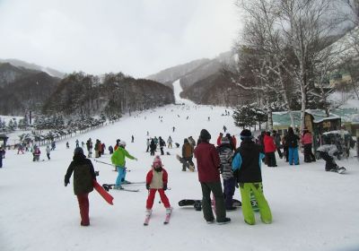 Deep powder comes to patient powder hounds! Oze Iwakura is a resort we've raved about before & today didn't disappoint with some classic dry 