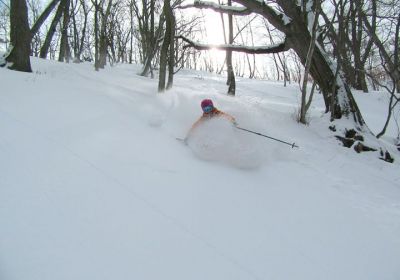 Today we visited a small ski area in the Katashina area of Gunma and were pleasantly surprised with the off-piste tree skiing on offer. Not really a destination resort but combine this with a day or two at neighbouring resort Oze Iwakura and you will find some fantastic skiing. PS, these resorts are going to get around 60+ cm of fresh cold snow over the next few days!!!