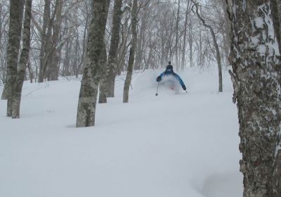 Deep powder comes to patient powder hounds! Oze Iwakura is a resort we've raved about before & today didn't disappoint with some classic dry 