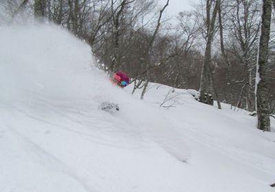 Deep powder comes to patient powder hounds! Oze Iwakura is a resort we've raved about before & today didn't disappoint with some classic dry 