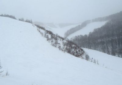 We've been in search of new unicorn ski resorts in Japan, which has been a bit challenging lately considering many of the Nagano/Niigata/Gunma ski resorts have been suffering from yuck snow conditions. We have been hanging out in Gunma waiting for the elusive storm that was meant to arrive a couple of days ago (it hit Nagano/Niigata yesterday). Today we hit this little ski area with about 5-10cm of dust on glacial-like rough crust & it was snowing all day so it improved a little in the afternoon (& it's forecast to snow plenty tonight). Despite the marginal snow conditions (Japoo we're calling it!) we took a look around and the verdict is a bit undecided about whether this ski area is going to excite & entice any powder hounds. It does have some small steepish pitches and there appears to be a little tree skiing (albeit tight trees mostly). You wouldn't go there especially, but it's worth including for a day on road trip of Gunma: https://www.powderhounds.com/Japan/Honshu/Oguna-Hotaka.aspx