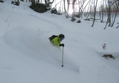 Today we visited a small ski area in the Katashina area of Gunma and were pleasantly surprised with the off-piste tree skiing on offer. Not really a destination resort but combine this with a day or two at neighbouring resort Oze Iwakura and you will find some fantastic skiing. PS, these resorts are going to get around 60+ cm of fresh cold snow over the next few days!!!