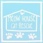 Meow House Cat Rescue, - | Keepface