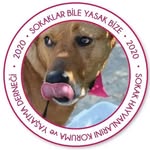 sokaklarbileyasakbize