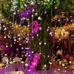 Los Magos De La Decoración