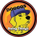 doggosdoingthings