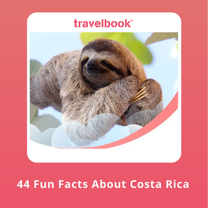 🐵 Going to Costa Rica for a much-awaited and anticipated adventure, it is most helpful if you are equipped with some information about the culture and the locals so you can appreciate your trip more and so you're not surprised when you happen to encounter unfortunate or fortunate events.  

🗣So prepare your scratch map and cross Costa Rica off your bucket list.

Read more 👇🏼
https://blog.travelbook.com/44-fun-facts-about-costa-rica

#Travelbook #travel #solotravel #traveltours #booktravel #rentals #travelrentals #bookvacation #travelexperiences #adventure #wanderlust #vacation