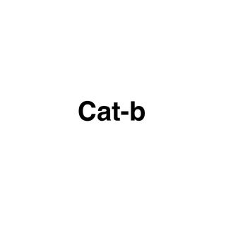 Cat-b, - | Keepface