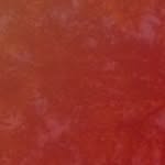 Asala Maleh | اصالة المالح