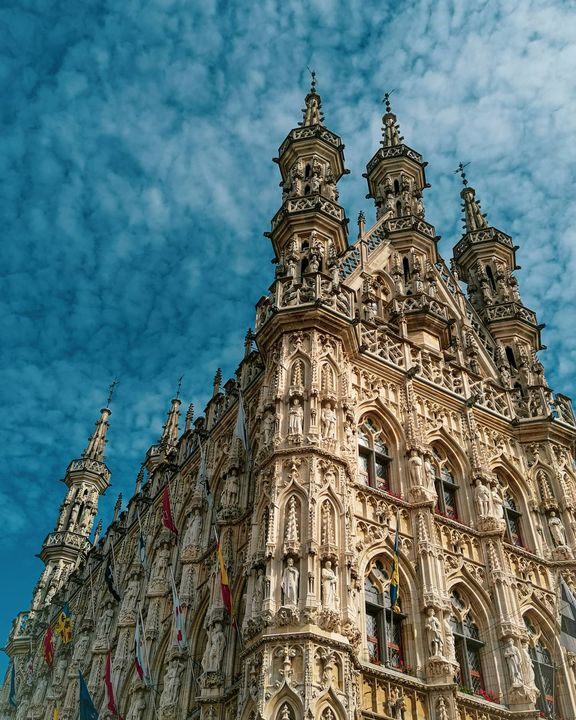 📍LEUVEN : Together with nature, we, as humans, can make the world a much better place. Let's end sufferings and hatred and make the world joyous for everyone. To happiness 🥂 Share your happy story 😊 Drop a comment 📝 Share the post 👯 Tag your friends 🧑‍🤝‍🧑👭
_
#happiness #leuven #belgium🇧🇪 #townhall #cityhall #beautifulleuven #belphenomenal #spreadjoy #behappy😊 #letsmaketheworldabetterplace #positivevibes #flanders #leuvencity #bepositive #optimistic #lookingforward #togetherwecan #togetherness #majestic_view #leuventownhall #loveleuven #loveistheanswer #lovebelgium