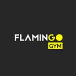 FLAMINGO GYM