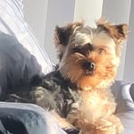 TSM Chica (Maria Lopez)