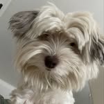 ◂ ∗ ◌ Berta Nagy ☾ • ➳