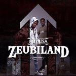 Mixtape «zeubiland» dispo