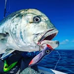 🇴🇲Noukhada Fishing Oman