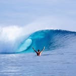 alexander wisdom gray